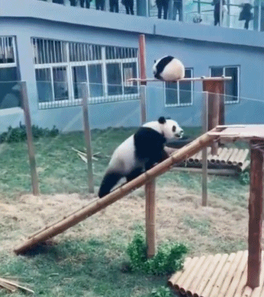 幼儿园就是好玩-搞笑gif动态图片 - izike-izike