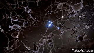 神经递质就是帮助发送者传递信息的化学物质.