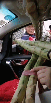 比售楼小哥更热情的，是卖菜阿姨-搞笑gif动态图片-izike