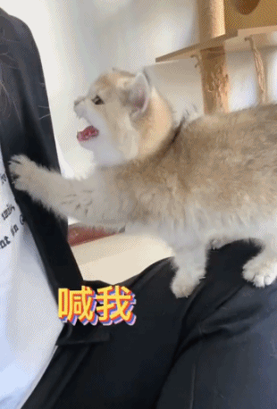被撩的还挺开心-搞笑gif动态图片 - izike-izike